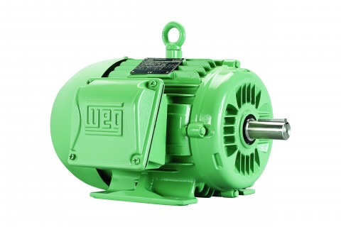 WEG motor